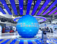 加速推进城市全域数字
